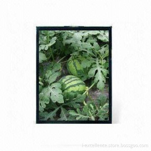 2.4-inch TFT LCD Module with 240 x 320 Pixels Resolution and 220cd/m2 Brightness